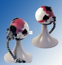 USN VF-41 squadron pilot helmet