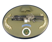 U.S. Army special forces on painted wood plaque