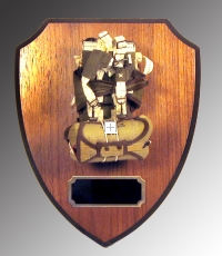 standard parachute on shield plaque