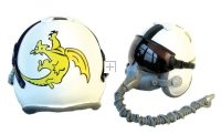 USN "Golden Dragons" pilot helmet