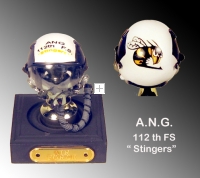 USAF ANG 112th F.S. " Stingers "