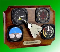 F-14 Tom Cat with gauges