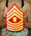 USMC E9 Master Gunnery Sgt rank Red & Gold metal sign