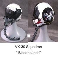 US Navy VX-30 sq pilot helmet