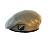 U.S.Army Beret