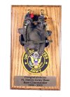 P-2 Modern day military pilots parachute