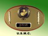 U.S.M.C. oval plaque with pin