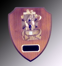 Parachute on wood shield plaque