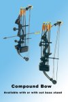 working compound bow and arrow set