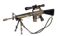 M16A1 w/mil spec scope and foldable bi pod