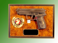 wall gun plaque