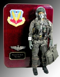 U.S.A.F. aviator in full dress plaque