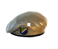 U.S.Army Beret