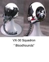 US Navy VX-30 sq pilot helmet