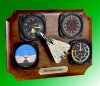 F-14 Tom Cat with gauges